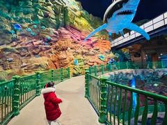 -青岛嘉年华主题乐园