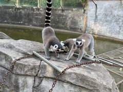 -常州淹城野生动物世界