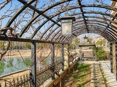 -广场正宗原汁薏米店