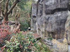 -川匠·睡眠采耳·SPA(九眼桥店)