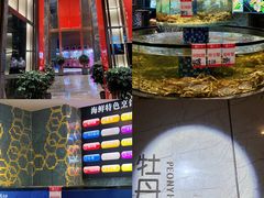 -寻味顺德·珍之宝酒楼(银钻店)