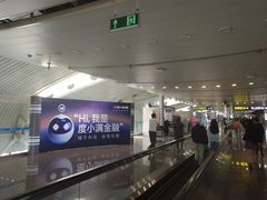 -首都机场t3-c国航两舱休息室