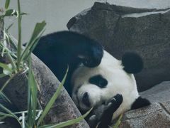 -宁波野生动物园