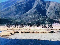 -腾冲北海湿地