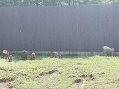 -苏州上方山国家森林公园