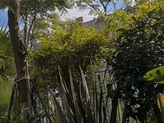 -云南省大剧院