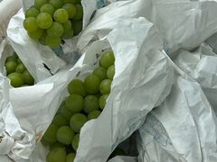 -马陆小张葡萄园农家乐