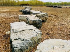 -西青郊野公园