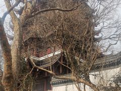 -采石矶景区