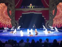 -珠海横琴长隆《卡卡虎奇遇记》