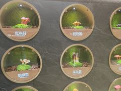 -龙湖重庆时代天街