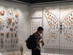 -四川大学博物馆