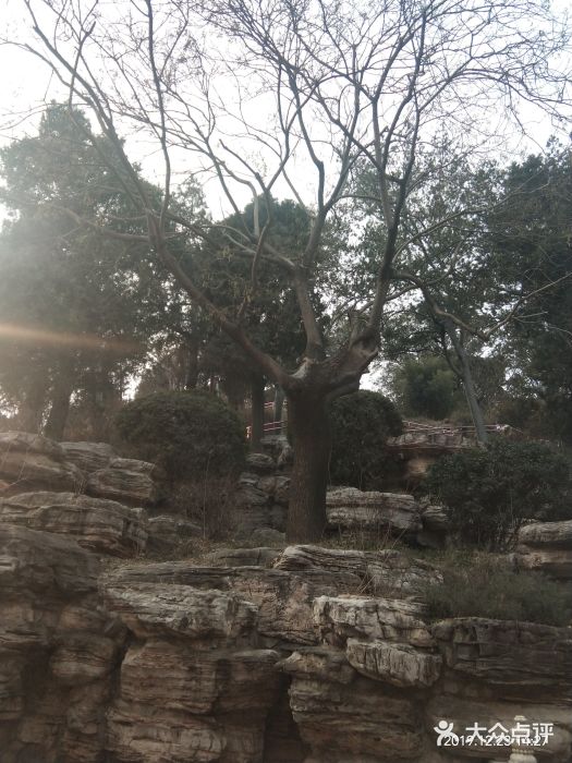 景山公园景点图片