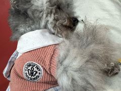-和它·交个朋友·狗咖猫咖(爱琴海店)
