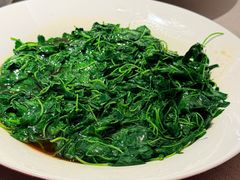 -圆苑(静安寺店)