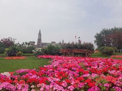 -洪家楼教堂