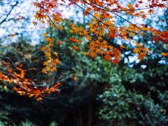 -杭州上天竺法喜讲寺
