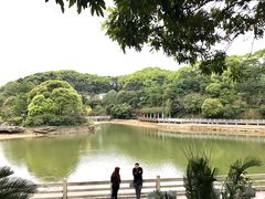 -广州市帽峰山景区