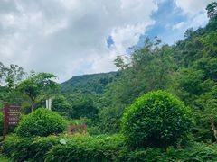 -清溪森林公园
