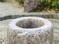 -上海佘山国家森林公园天马山园