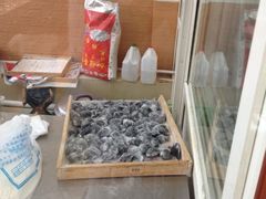 墨鱼水饺-海岛渔村大酒店(云霄路店)