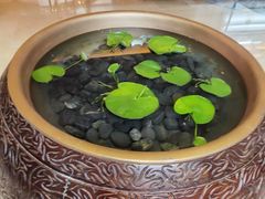 -逸林轩中餐厅(中信泰富朱家角锦江酒店)