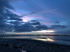 -宝安西湾红树林湿地公园