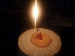 -OL’s Cake鲜荟千层(东风中路店)