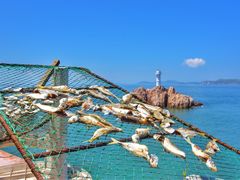 -东极岛景区