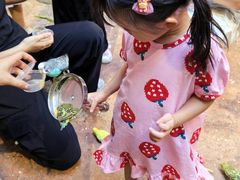 -正佳雨林生态植物园
