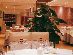 -松鹤楼(狮山永利广场店)