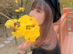 -天适樱花悠乐园