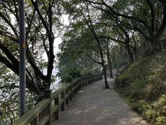 -艾坪山公园