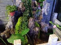 -知足堂养生会所(碑亭巷店)