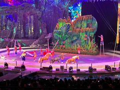 -广州长隆国际大马戏