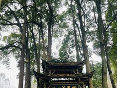 -青城山