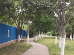 -永定河休闲森林公园