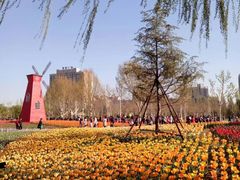 -廊坊文化艺术中心