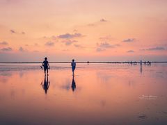 -南汇嘴观海公园