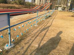 -石狮世茂摩天城摩天轮