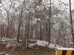 -秦岭终南山世界地质公园翠华山景区