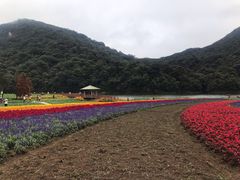 -广州市石门国家森林公园