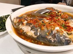 -饭怕鱼·黄焖鲟龙鱼(湖大店)