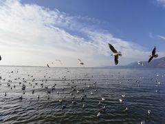 -滇池海埂公园