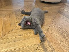 -Me Coffee下午茶艺术空间