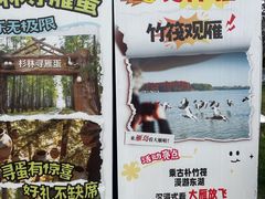 -东湖落雁景区