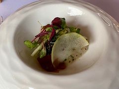 -蝶舍·MAISON PAPILLON