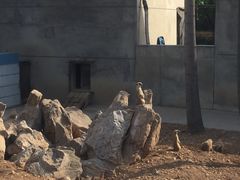 -石家庄市动物园