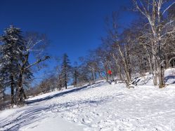-大秃顶子山