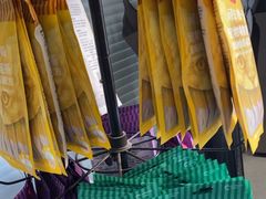 -瑞派福兴宠物医院犬猫全科·骨科·中西医结合(河东店)